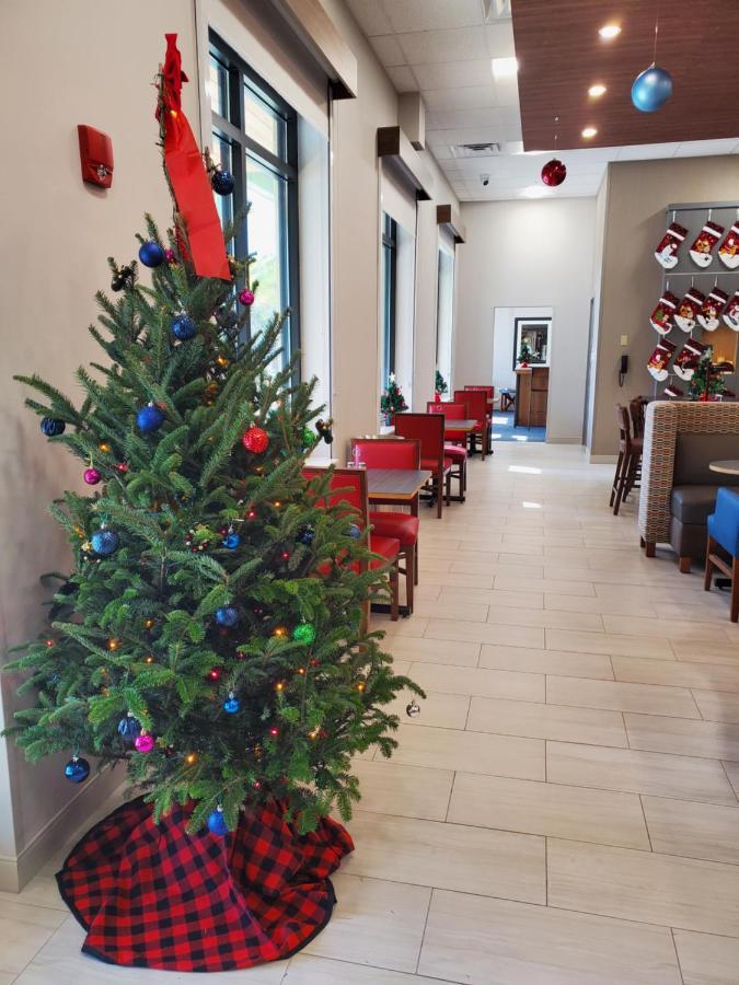 Holiday Inn Express St. Augustine - Vilano Beach By Ihg Экстерьер фото